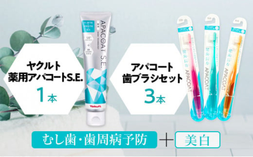 歯磨き セット 歯磨き粉 1本 歯ブラシ 3本 薬用 ヤクルト アパコート 歯みがき粉 はみがき粉 詰め合わせ ホワイトニング デンタルケア オーラルケア 口臭予防 衛生 虫歯 むし歯 歯周病 予防 化粧品 日用品 食べ物以外 生活用品 健康 クリーニング 必需品 湘南ヤクルト販売株式会社 神奈川 湘南 藤沢