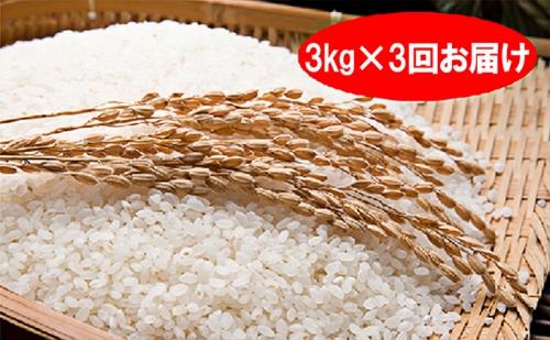 特別栽培米「彩のきずな」白米9kg（3kg×3回のお届け） 102366 - 埼玉県嵐山町