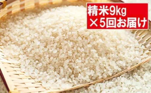 特別栽培米「コシヒカリ」白米45kg（9kg×5回のお届け） 102369 - 埼玉県嵐山町