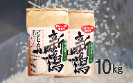 令和5年産【GH05】〈お米ソムリエのお米〉五泉市四ヶ村産　特別栽培米コシヒカリ10㎏
