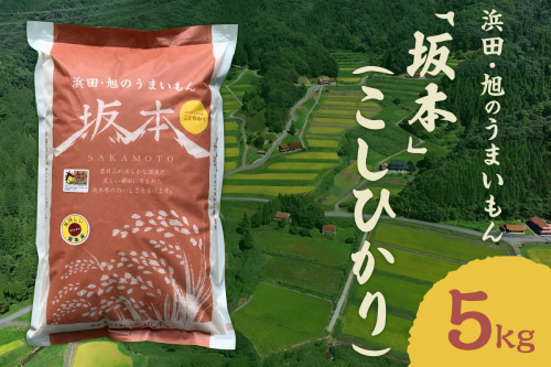 【令和6年産】浜田・旭のうまいもん「坂本」（こしひかり）5kg 米 お米 こしひかり 精米 白米 ごはん 新生活 応援 準備 お取り寄せ 特産 5kg 5キロ 【1005】 1024340 - 島根県浜田市