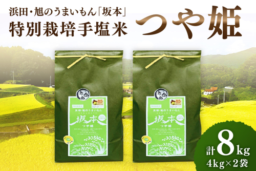 【令和6年産】浜田・旭のうまいもん「坂本」特別栽培手塩米つや姫　4kg×2袋 米 お米 特別栽培米 つや姫 精米 白米 ごはん 米【1038】 1024443 - 島根県浜田市