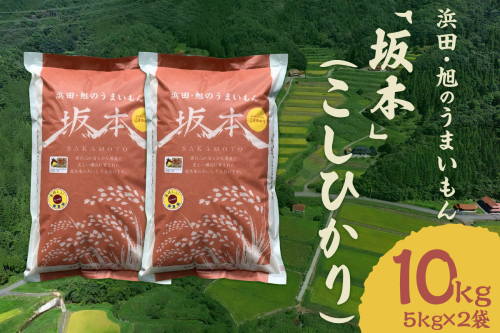 【令和6年産】浜田・旭のうまいもん「坂本」（こしひかり）5kg×2袋 米 お米 こしひかり 精米 白米 ごはん 10キロ 新生活 応援 準備 お取り寄せ 特産 【1008】 1024452 - 島根県浜田市