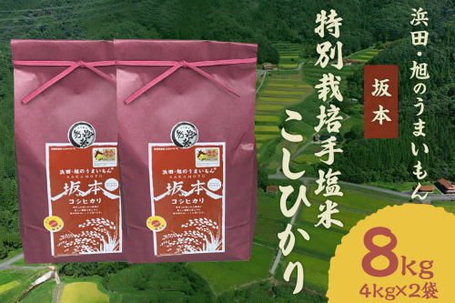 【令和6年産】浜田・旭のうまいもん「坂本」特別栽培手塩米こしひかり4kg×2袋 米 お米 こしひかり 特別栽培米 精米 白米 ごはん お取り寄せ 特産 新生活 応援 準備 【1035】 1024471 - 島根県浜田市