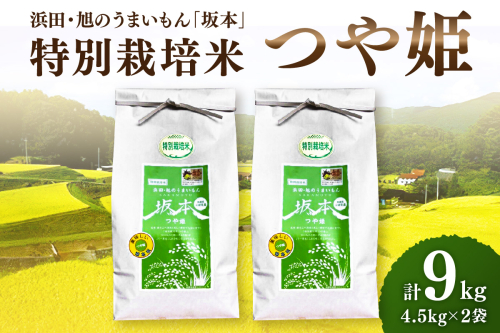 【令和6年産】浜田・旭のうまいもん「坂本」特別栽培米つや姫　4.5kg×2袋 米 お米 特別栽培米 つや姫 精米 白米 ごはん お取り寄せ 特産 【1031】 1024473 - 島根県浜田市