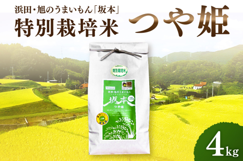 【令和6年産】浜田・旭のうまいもん「坂本」特別栽培米つや姫　4kg 米 お米 つや姫 特別栽培米 4キロ 精米 白米 ごはん 新生活 応援 準備 お取り寄せ 特産 【1027】 1024474 - 島根県浜田市