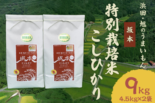 【令和6年産】浜田・旭のうまいもん「坂本」特別栽培米こしひかり　4.5kg×2袋 米 お米 こしひかり 特別栽培米 精米 白米 ごはん 新生活 応援 準備 【1023】 1024475 - 島根県浜田市