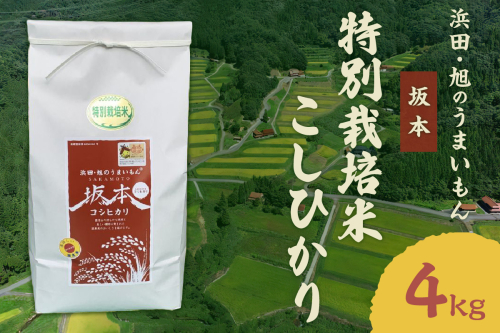 【令和6年産】浜田・旭のうまいもん「坂本」特別栽培米こしひかり　4kg 米 お米 こしひかり 特別栽培米 4キロ 精米 白米 ごはん 新生活 応援 準備 お取り寄せ 特産 【1019】 1024476 - 島根県浜田市