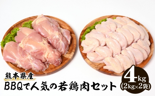 熊本県産 BBQで人気の若鶏肉セット(もも肉・手羽先)各2kg 合計4kg 1024561 - 熊本県八代市