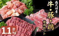 南九州産牛・豚・鶏焼肉セット(計1.1kg)