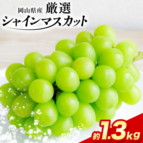 【2026年先行予約】厳選 訳あり シャインマスカット 約 1.3kg 2房 ≪2026年9月上旬-11月上旬頃に出荷≫シャインマスカット ぶどう フルーツ 果物 シャイン マスカット 葡萄 ブドウ 1024697 - 岡山県浅口市