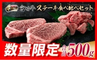 数量限定 宮崎牛 ステーキ 食べ比べ セット 合計500g 肉 牛 牛肉 ヒレ ロース 黒毛和牛 国産 おかず 食品 焼肉 送料無料_EA13-23