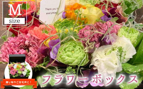 【期間限定発送】 生花 美郷の フラワー ボックス (中)  [花のたかはし 宮崎県 美郷町 31aq0004] ラナンキュラス スイートピー 花 ギフト 贈り物 プレゼント 誕生日 卒業祝い 入学祝い 結婚祝い 結婚記念日 送別 昇進祝い 退職祝い 新居祝い 102482 - 宮崎県美郷町