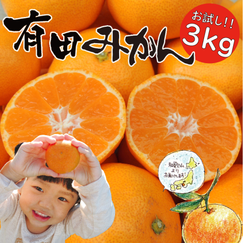「はじめまして 有田みかん（和歌山県湯浅町産）」 お試し 約3kg ／ORYY推奨商品_DA6101n 1024979 - 和歌山県湯浅町