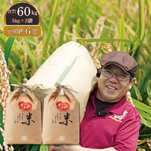 【定期便6回】三瀬村産「コシヒカリ」5kg×2袋 お米 精米：C195-007 102505 - 佐賀県佐賀市