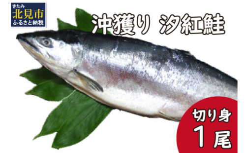 沖獲り 汐紅鮭 切り身 1尾 ( さけ 鮭 紅鮭 魚 魚介類 ふるさと納税 )【017-0016】 1025233 - 北海道北見市