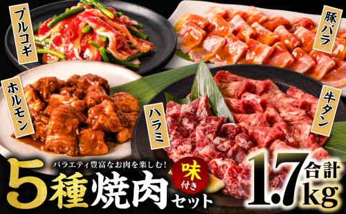 【訳あり】 焼肉セット 5種盛り 計1.7kg 牛肉 タン ハラミ みそ ホルモン プルコギ 豚バラ 豚肉 カルビ 肉 味付き おかず 焼き肉 炒め物 お惣菜 おつまみ バーベキュー BBQ 1025293 - 熊本県八代市