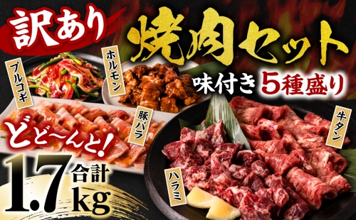 【訳あり】焼肉セット5種盛り 計1.7kg タン ハラミ ホルモン プルコギ カルビ 1025293 - 熊本県八代市