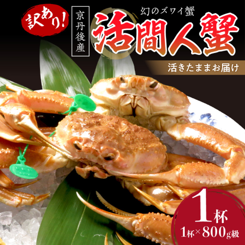 【訳あり！！幻のズワイ蟹】　京丹後産　活間人蟹　鮮度抜群、活きたままお届け！！ 800g級（足1本落ち）×1杯 1025333 - 京都府京丹後市