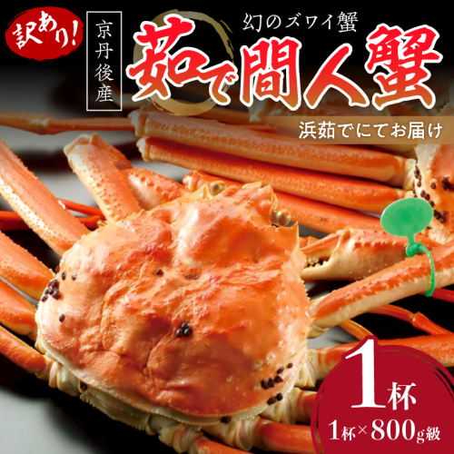 【訳あり！！幻のズワイ蟹】　　京丹後産　茹で間人蟹　鮮度抜群、浜茹でにてお届け！！ 800g級（足1本落ち）×1杯 1025335 - 京都府京丹後市