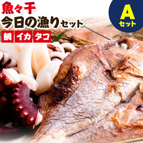 A-135 魚々干 今日の漁りセット Aセット 灰干し 鯛 イカ タコ 特定非営利活動法人 かさおか島づくり海社《45日以内に出荷予定(土日祝除く)》岡山県 笠岡市 魚 さかな 干し おまかせ 詰め合わせ 天然魚介 魚介 102533 - 岡山県笠岡市