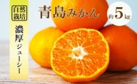 自然栽培 晩生 青島 みかん 約 5kg | フルーツ 果物 くだもの 柑橘 ミカン 熊本県 玉名市