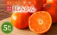 熊本県産 紅みかん 約 5kg 下田農園 | フルーツ 果物 くだもの 柑橘 ミカン みかん 熊本県 玉名市