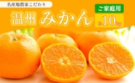 熊本県産 家庭用 みかん 約 10kg 下田農園 | フルーツ 果物 くだもの 柑橘 みかん ミカン 熊本県 玉名市