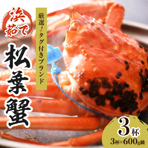 【厳選！！タグ付きブランド】　茹で松葉かに（中）　鮮度抜群、浜茹でにてお届け！！ 600g級×3杯 1025417 - 京都府京丹後市