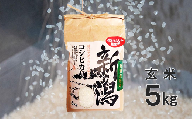 令和5年産【F141】〈お米ソムリエのお米〉五泉市四ヶ村産　特別栽培米コシヒカリ玄米5㎏　