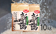 令和5年産【GH08】〈お米ソムリエのお米〉五泉市四ヶ村産　特別栽培米コシヒカリ玄米10㎏