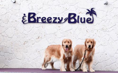 貸別荘BreezyBlue淡路島 ご利用券【10月～3月宿泊限定】（10,000円分） 1025704 - 兵庫県淡路市