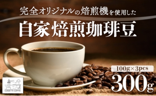 自家焙煎 コーヒー豆 100g×3個セット 300g 1025706 - 北海道登別市