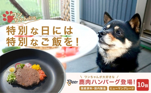 鹿肉ドッグフード　鹿肉ハンバーグ（犬用）　10個（約50g×10個） 1025773 - 福井県若狭町