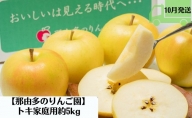 10月発送 家庭用 トキ 約5kg【那由多のりんご園・平川市産】