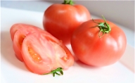 ザ・トマト！トマト好きに食べて欲しいりんか（4kg）