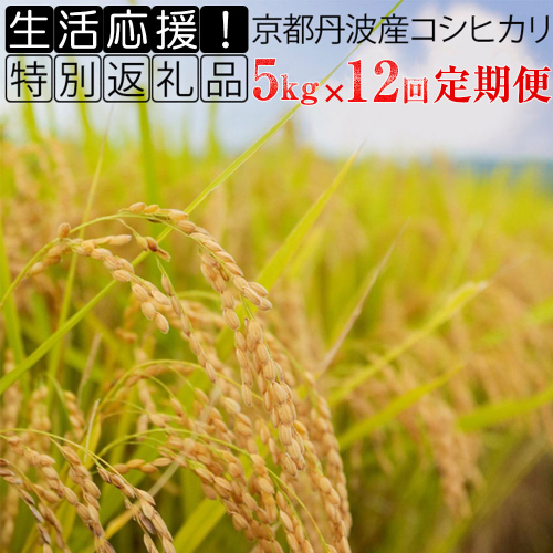 【定期便】米 5kg 12ヶ月 京都丹波産 コシヒカリ 白米＜JA京都 たわわ朝霧＞ 12回定期便 5kg×12回 計60kg 毎月発送に合わせて精米 1027319 - 京都府亀岡市