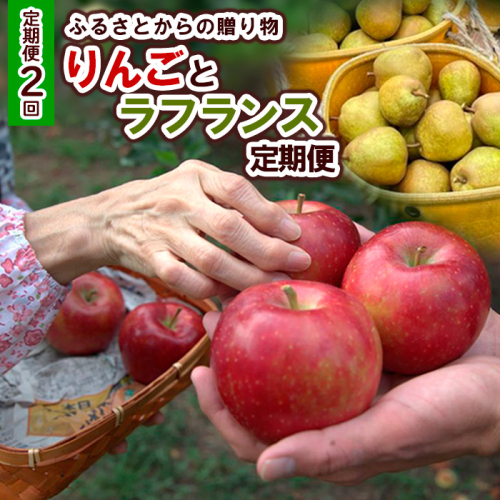 【定期便2回】ふるさとからの贈り物 りんごとラフランス便【令和8年産先行予約】FS23-657 1027320 - 山形県山形市