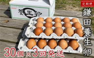 【10月～発送分 定期便】鎌田養生卵 30個 ×3ヵ月