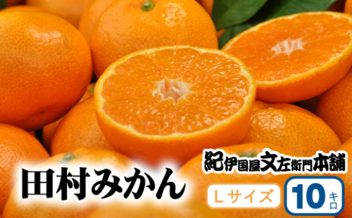 田村みかん 特選ギフト品 10kg【Lサイズ】赤秀【kmtb302C】 1027520 - 和歌山県紀美野町