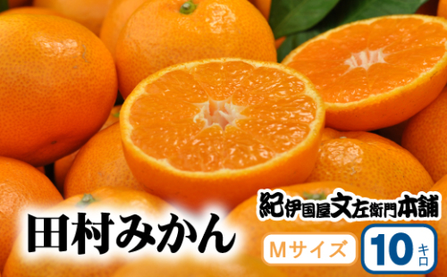 田村みかん 特選ギフト品 10kg【Mサイズ】赤秀【kmtb303C】 1027521 - 和歌山県紀美野町
