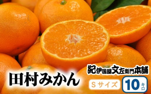 田村みかん 特選ギフト品 10kg【Sサイズ】赤秀【kmtb304C】 1027522 - 和歌山県紀美野町