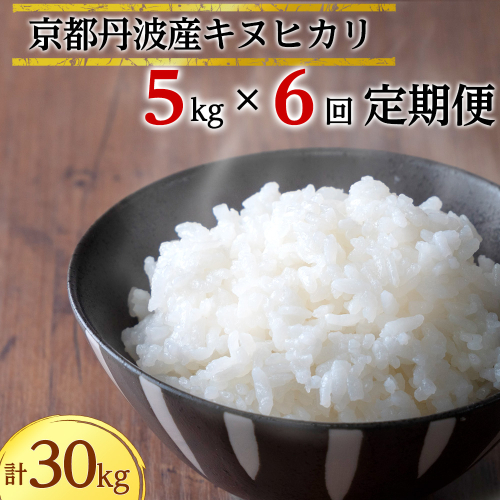 【定期便】米 5kg 6ヶ月 京都丹波産 キヌヒカリ 白米＜JA京都 たわわ朝霧＞ 6回定期便 5kg×6回 計30kg 毎月発送に合わせて精米 1027590 - 京都府亀岡市