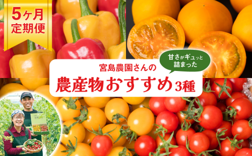 【先行予約】【定期便5回】八代市産 農産物おすすめ定期便 宮島農園 トマト パプリカ 野菜【2024年12月上旬より順次発送】 1027593 - 熊本県八代市