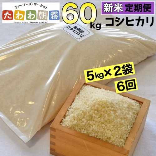 【定期便】令和5年産 米 10kg 6ヶ月 京都丹波産 コシヒカリ 白米＜JA京都 たわわ朝霧＞ 6回定期便 10kg（5kg×2袋）×6回 計60kg 毎月発送に合わせて精米 1027650 - 京都府亀岡市