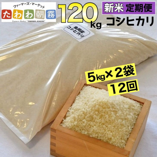 【定期便】令和5年産 米 10kg 12ヶ月 京都丹波産 コシヒカリ 白米＜JA京都 たわわ朝霧＞ 12回定期便 10kg（5kg×2袋）×12回 計120kg 毎月発送に合わせて精米 1027651 - 京都府亀岡市