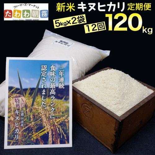 【定期便】令和5年産 米 10kg 12ヶ月 京都丹波産 キヌヒカリ 白米＜JA京都 たわわ朝霧＞ 12回定期便 10kg（5kg×2袋）×12回 計120kg 毎月発送に合わせて精米 1027654 - 京都府亀岡市