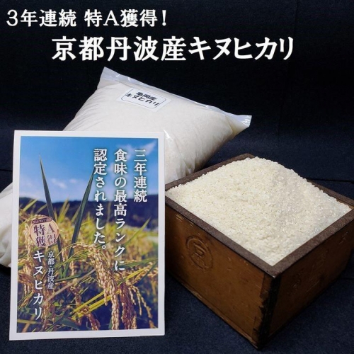 米 20kg（5kg×4袋）京都丹波産 キヌヒカリ 白米＜JA京都 たわわ朝霧＞ 発送に合わせて精米 1027655 - 京都府亀岡市