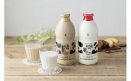 牛乳 乳飲料 鳥取県産生乳使用 「 大山おいしい贈り物 」特選大山おいしい牛乳 大山おいしいカフェオレ 2本 （900ml × 各1本）