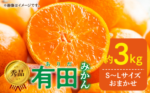 DZ6009n_秀品 有田みかん 和歌山県産 S～Lサイズ 大きさお任せ 約3kg 1027849 - 和歌山県湯浅町